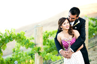 Priya + Nik Wedding